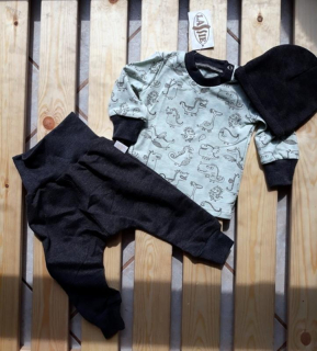 Lassie súprava Dinoco