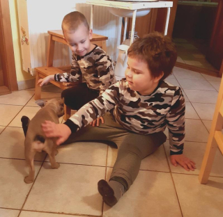 Detský nátelník Army (74-146)